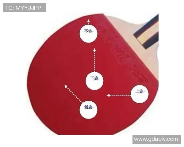 从零基础到乒乓球高手的全面提升指南与实战技巧分享